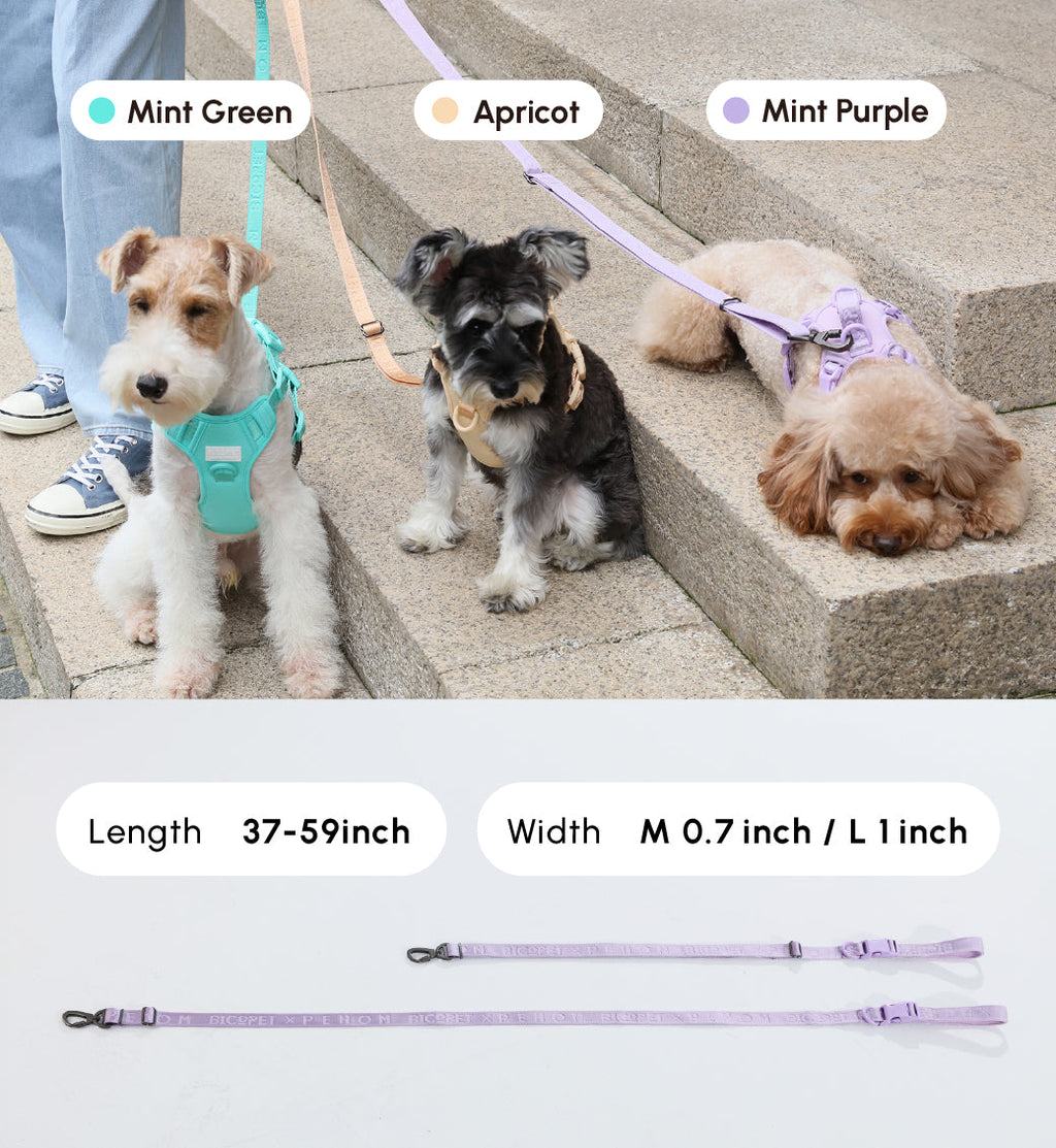 Urban Active Dog Leash – Apricot