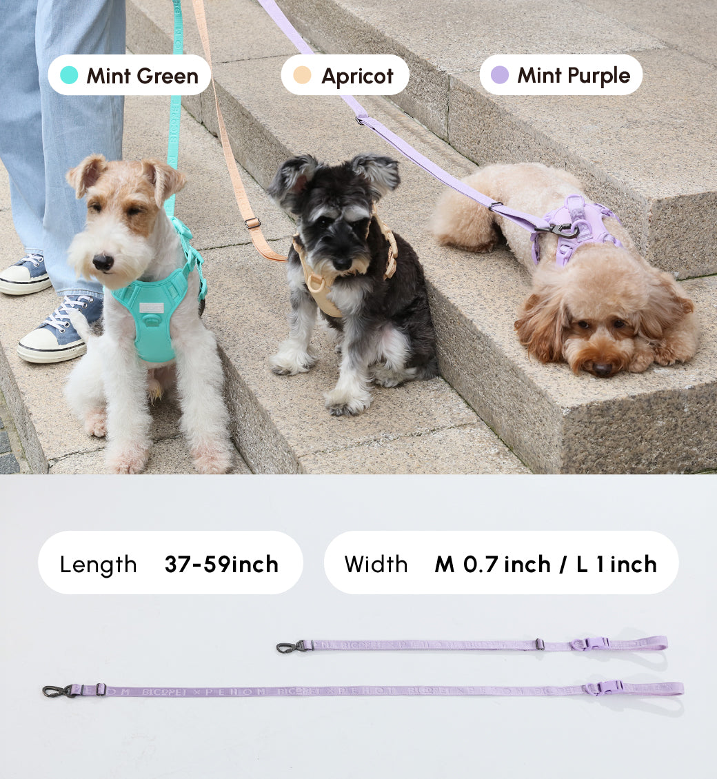 Urban Active Dog Leash - Mint Purple
