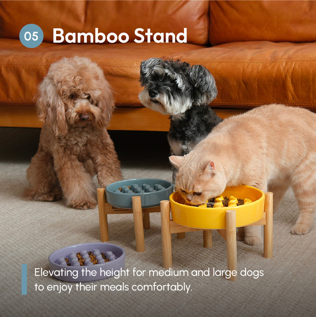 The Macaroni - Slow Feeder Dog Bowl