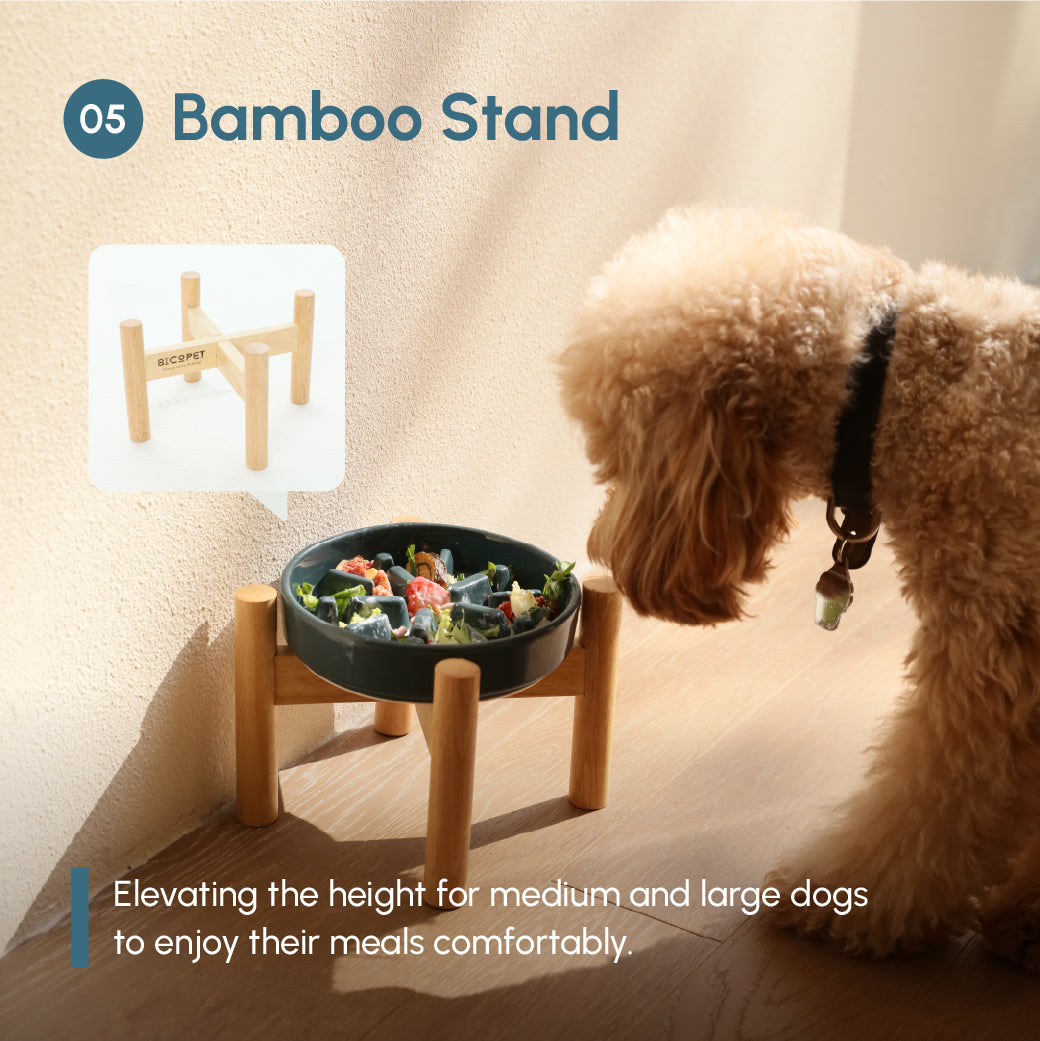 The Spark - Slow Feeder Dog Bowl