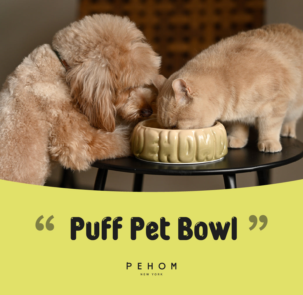 The Puff Pet Bowl