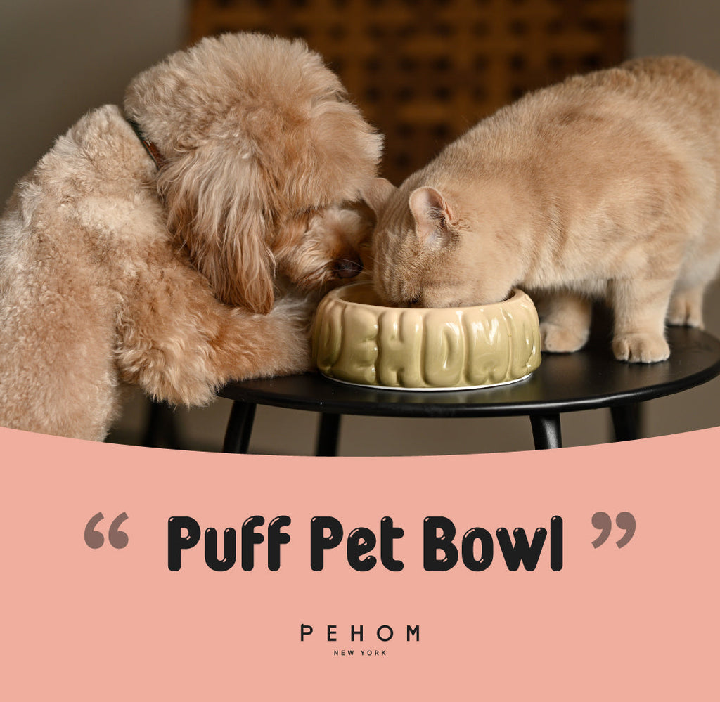 The Puff Pet Bowl
