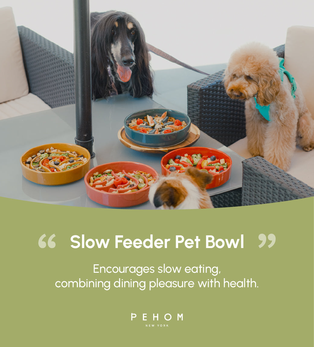 The Spark - Slow Feeder Dog Bowl