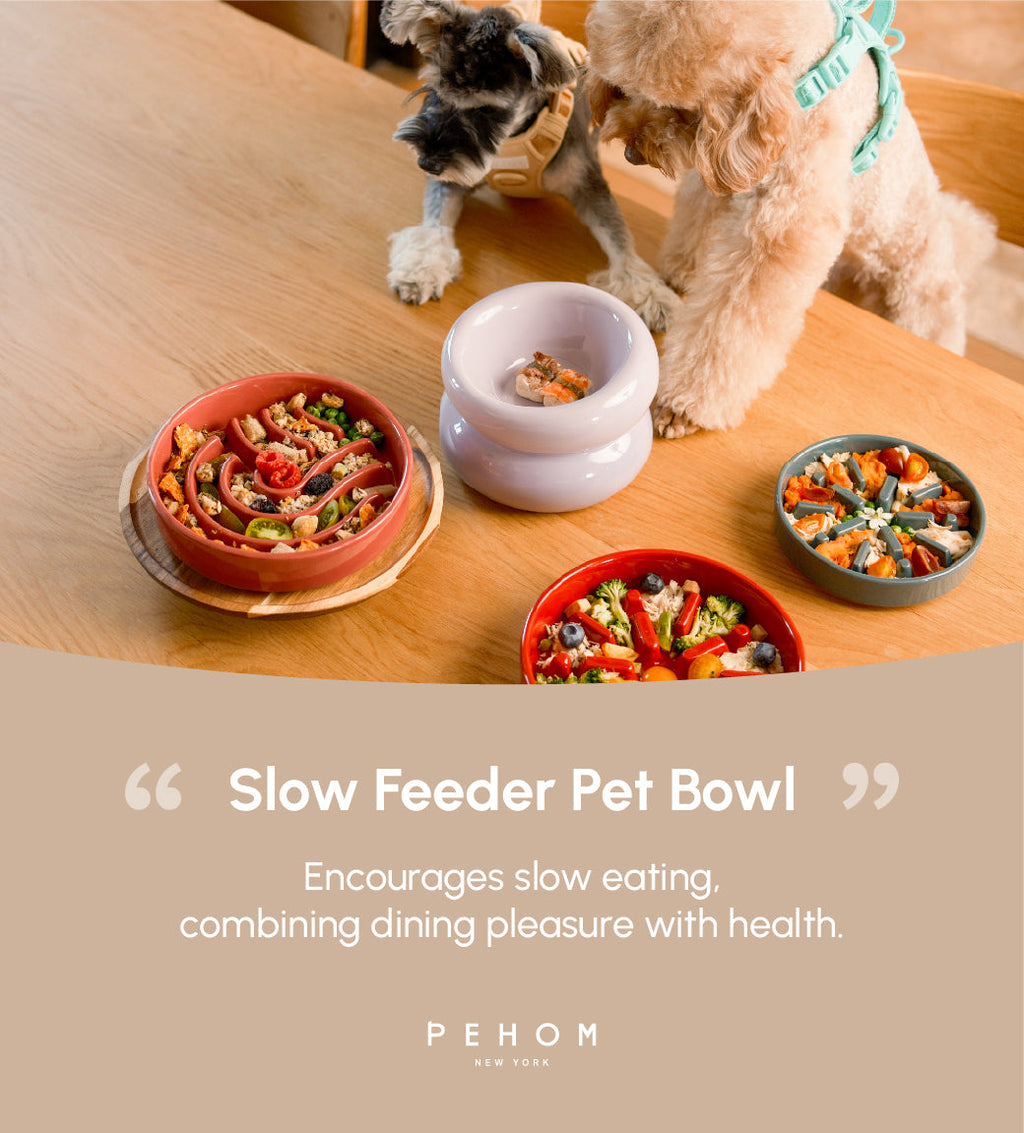 The Wave - Slow Feeder Dog Bowl