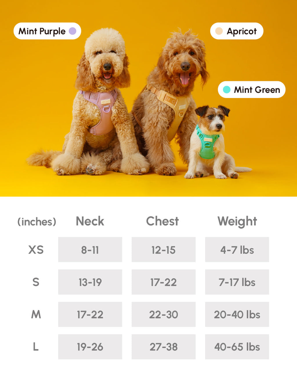 Urban Active Dog Harness - Mint Purple