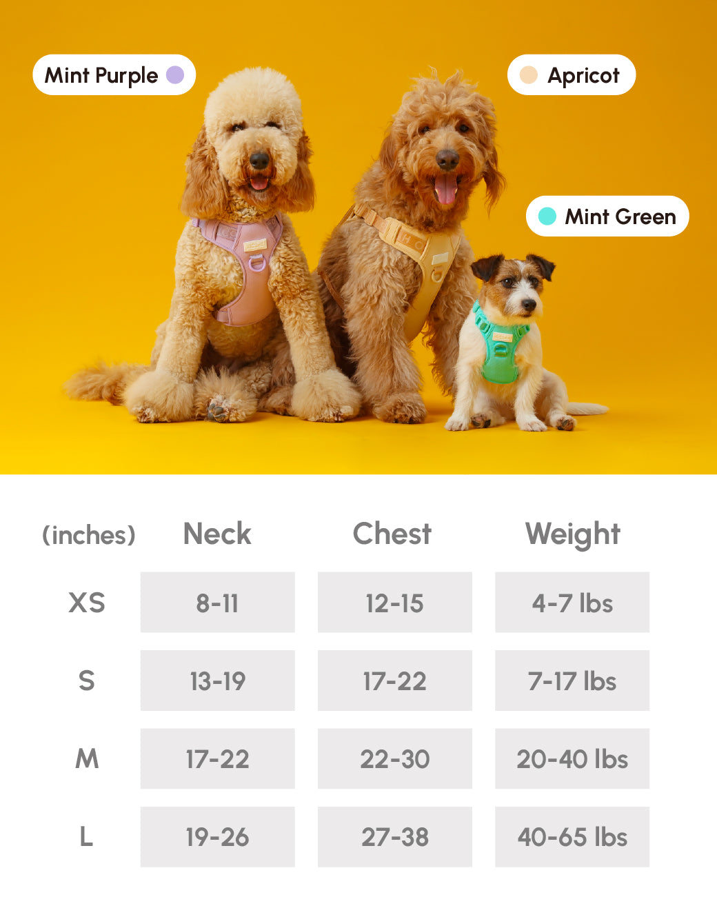 Urban Active Dog Harness - Mint Purple