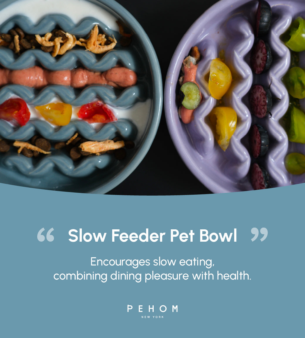 The Macaroni - Slow Feeder Dog Bowl
