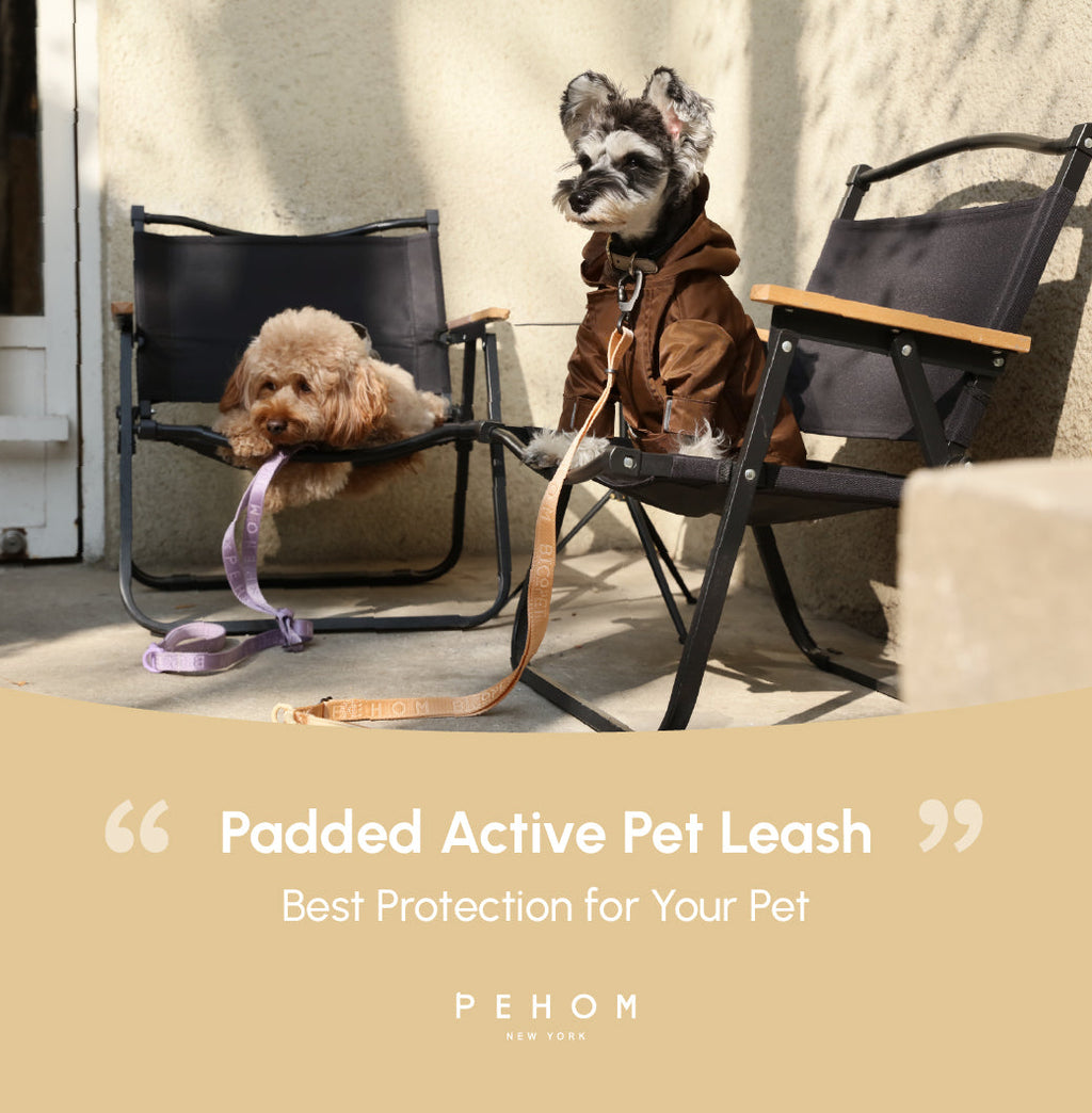 Urban Active Dog Leash – Apricot