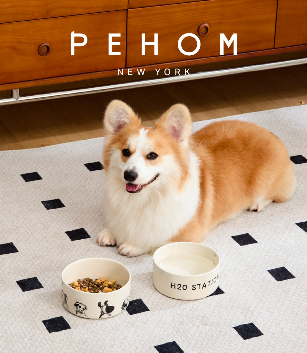 The Sketch Series - Dog Bowl Set