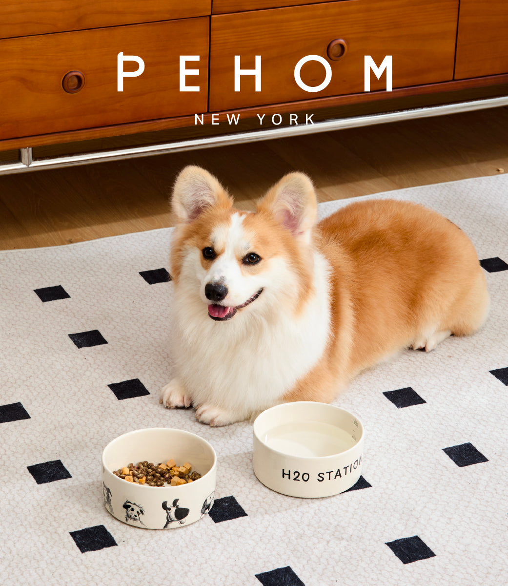 The Sketch Series - Dog Bowl Set