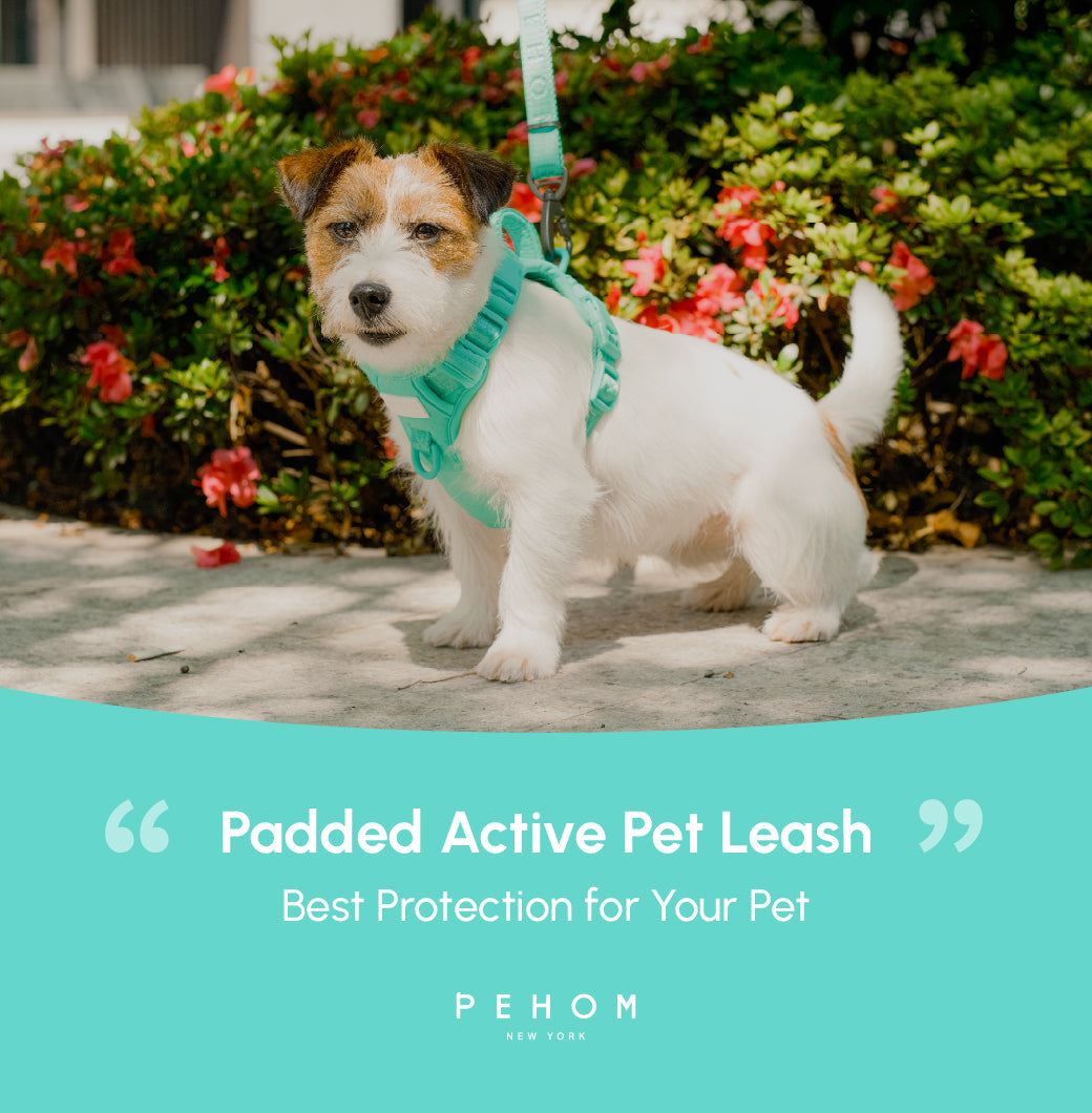 Urban Active Dog Leash - Mint Green