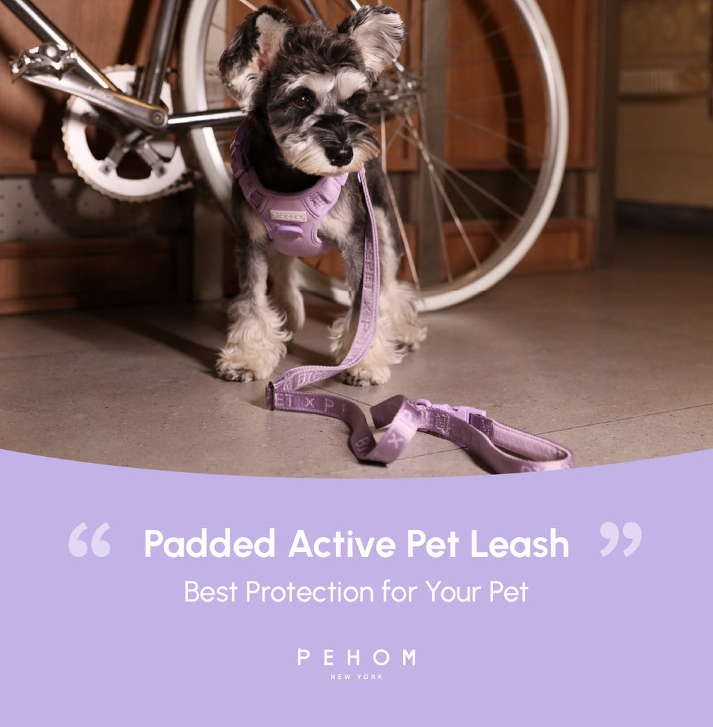 Urban Active Dog Leash - Mint Purple