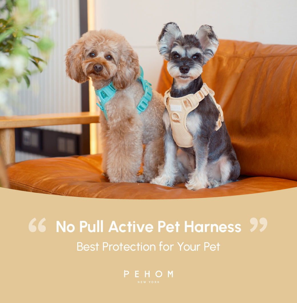 Urban Active Dog Harness - Apricot