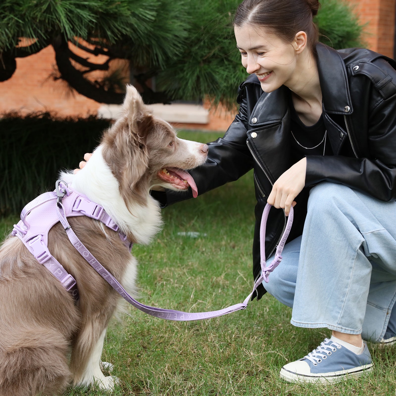 Urban Active Dog Leash – Apricot