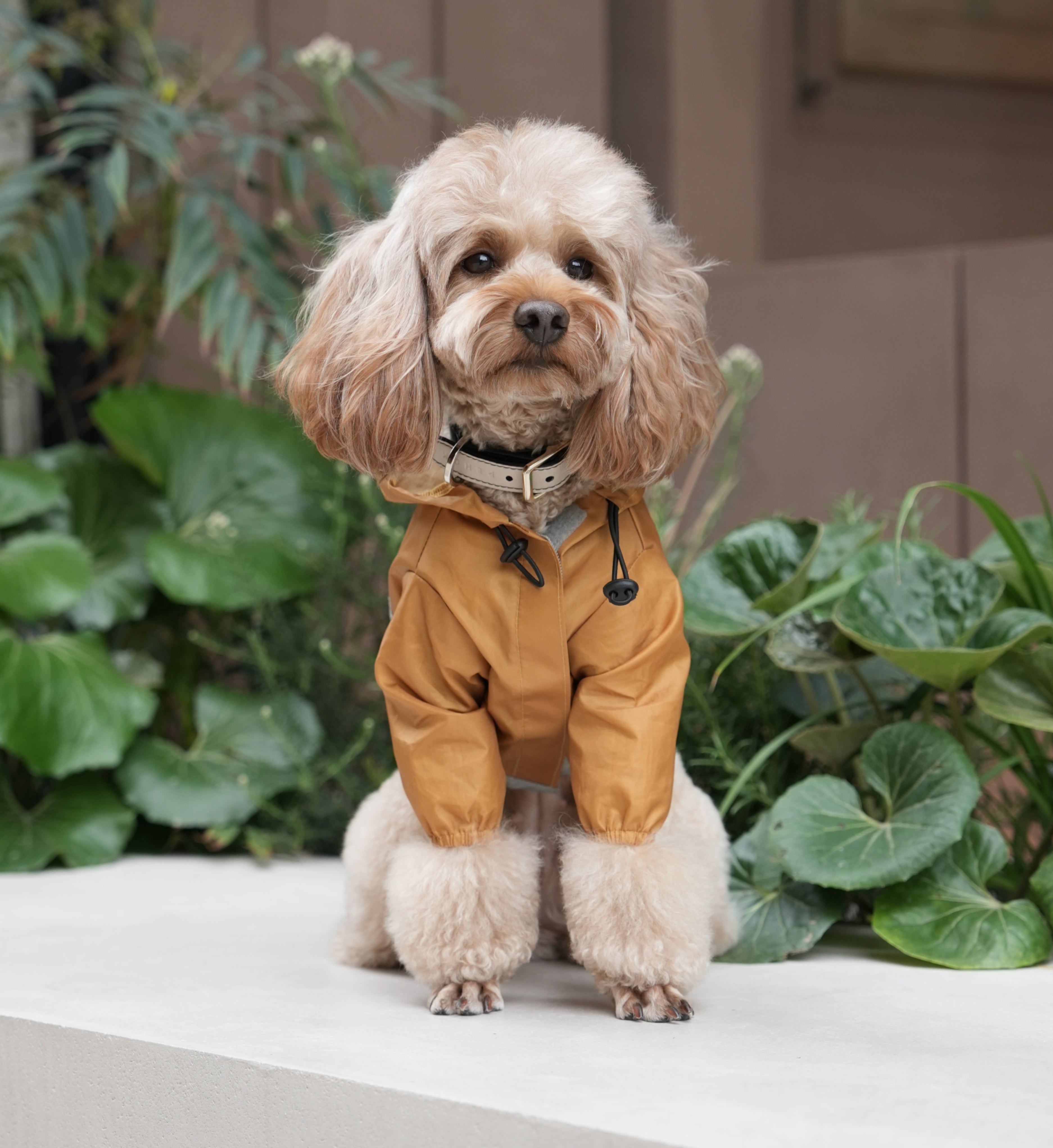Urban Shell Dog Raincoat - Yellow