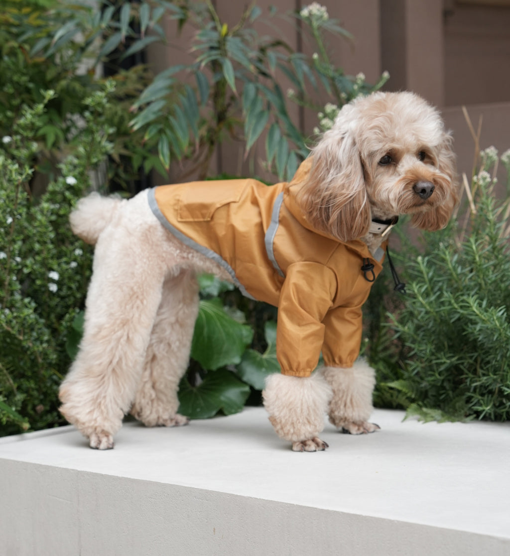 Urban Shell Dog Raincoat - Yellow