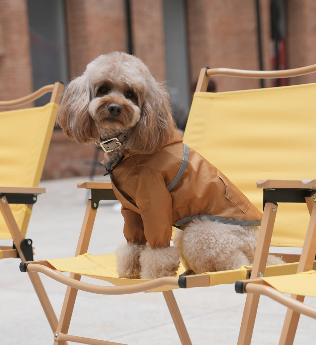 Urban Shell Dog Raincoat - Yellow