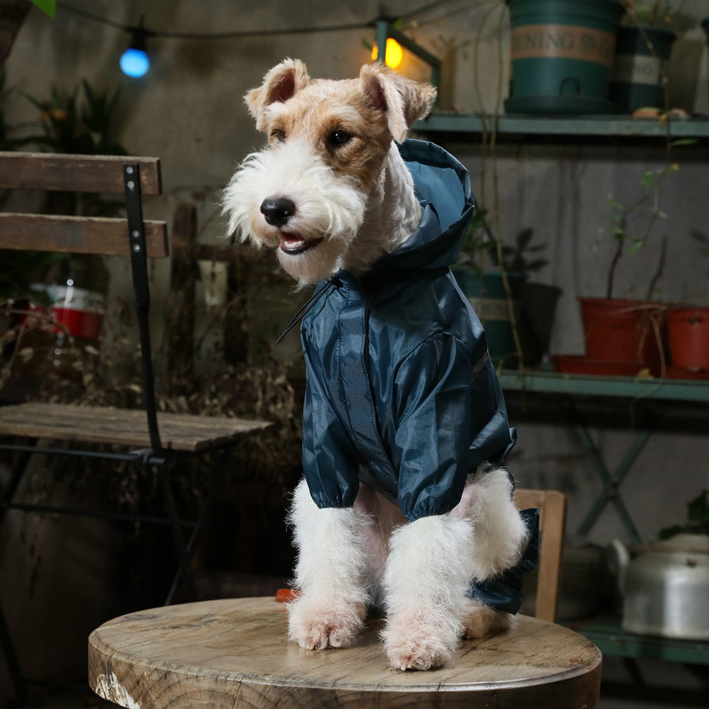Urban Shell Dog Raincoat - Blue
