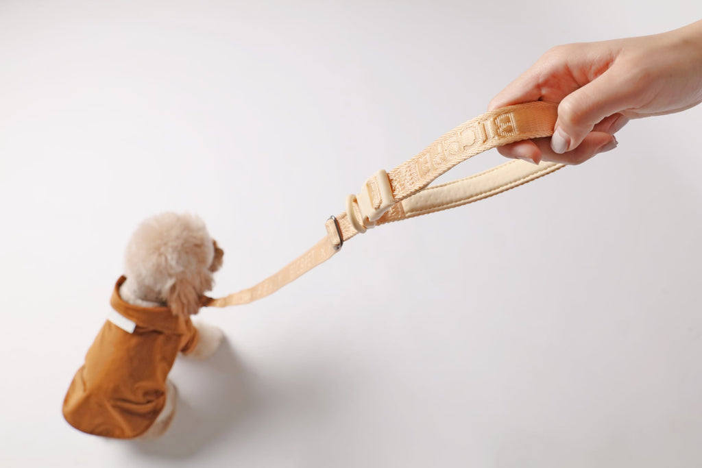 Urban Active Dog Leash – Apricot