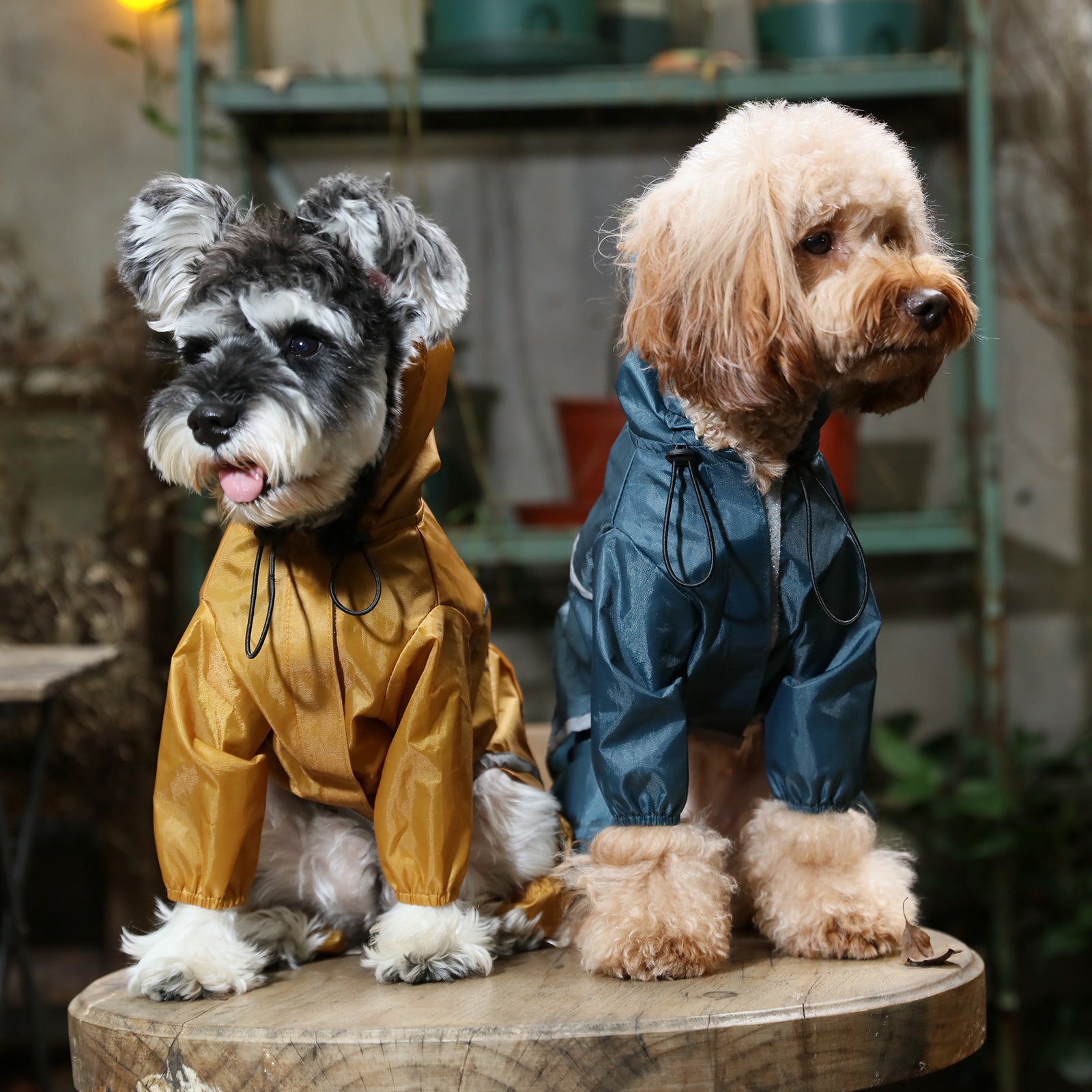 Urban Shell Dog Raincoat - Blue
