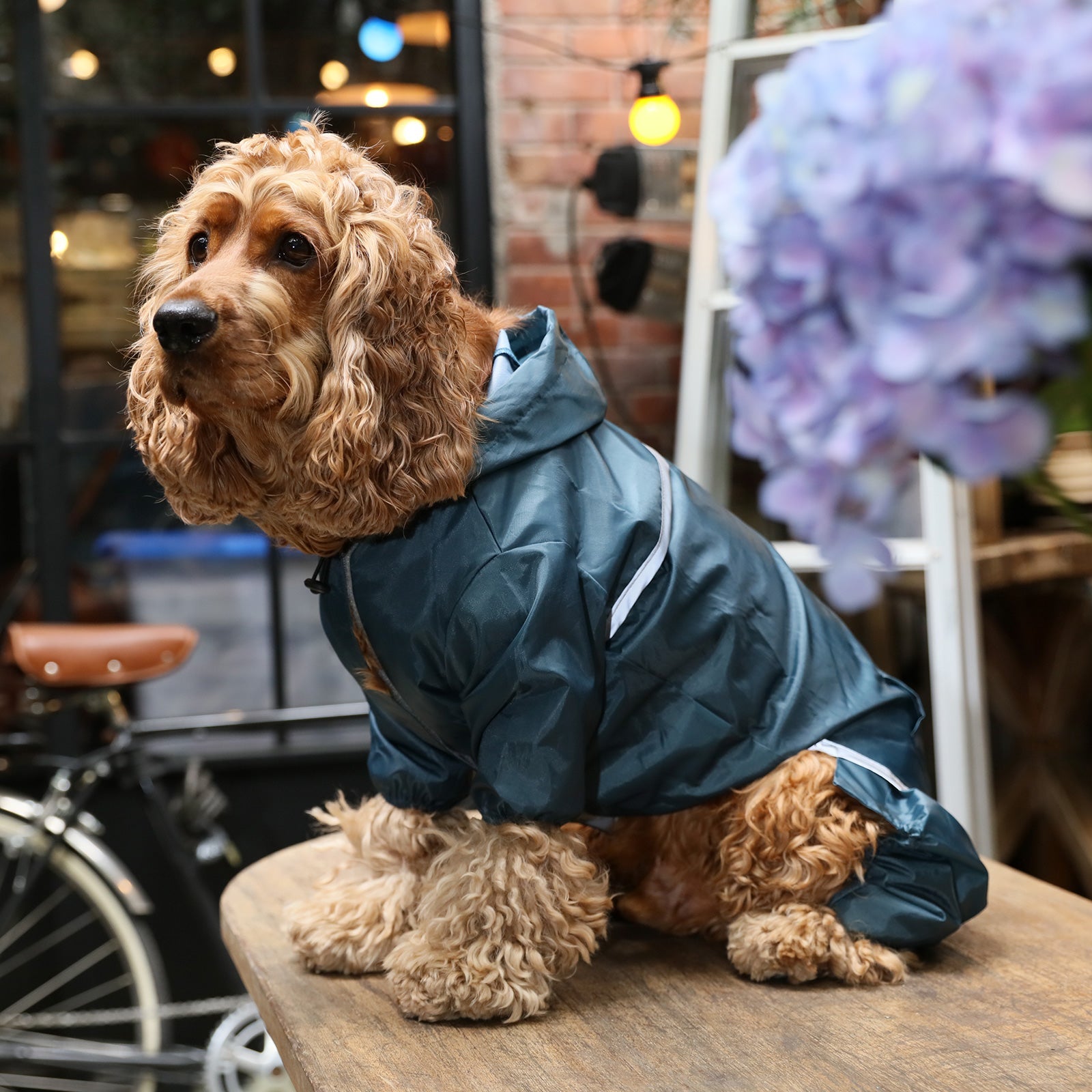 Urban Shell Dog Raincoat - Blue