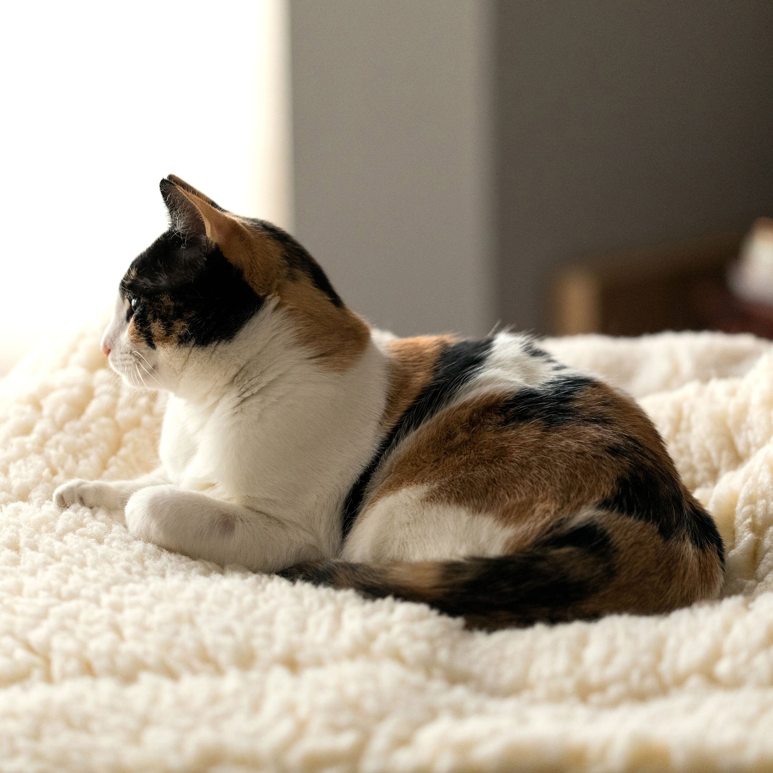 HuggleFleece Cat & Dog Bed Mat