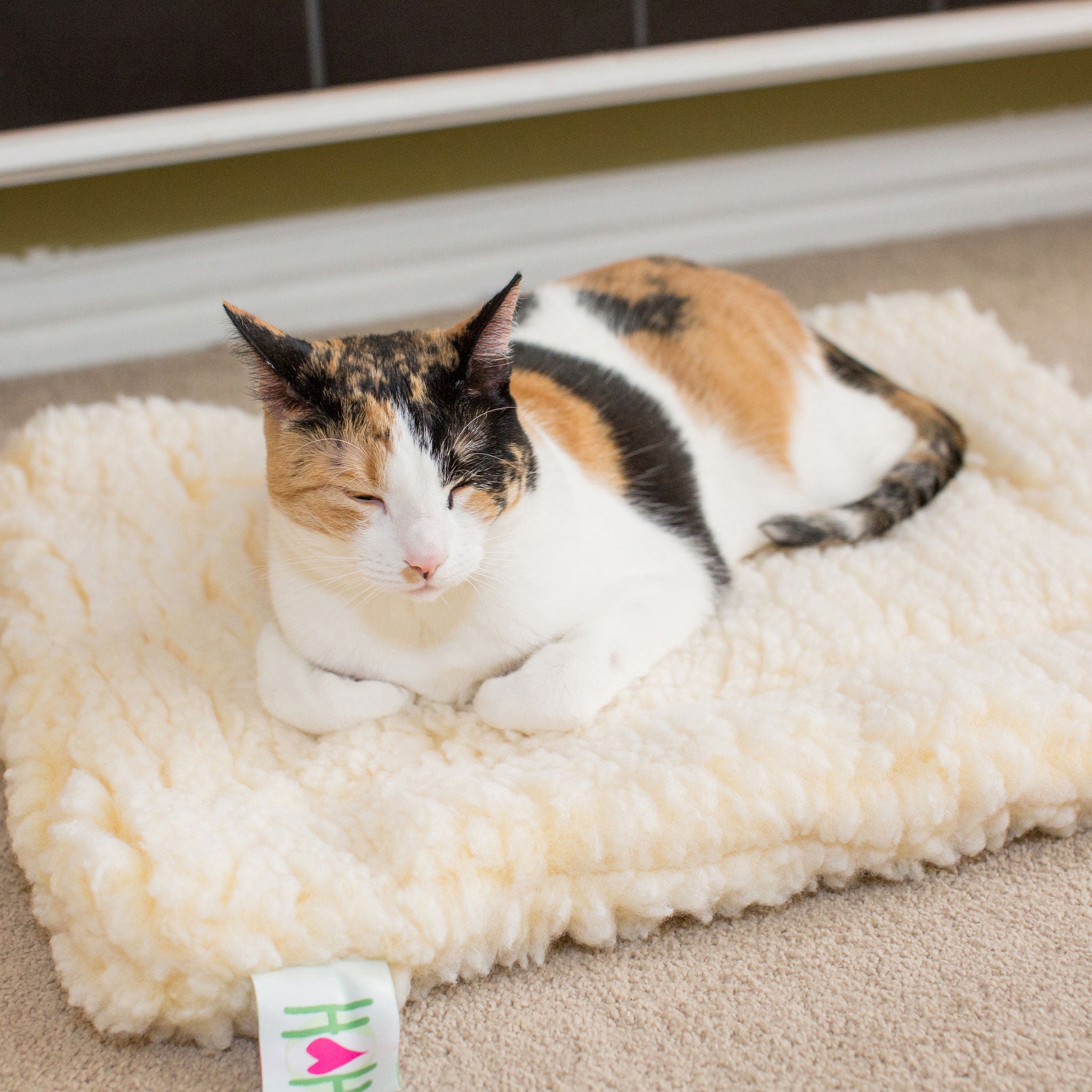 HuggleFleece Cat & Dog Bed Mat