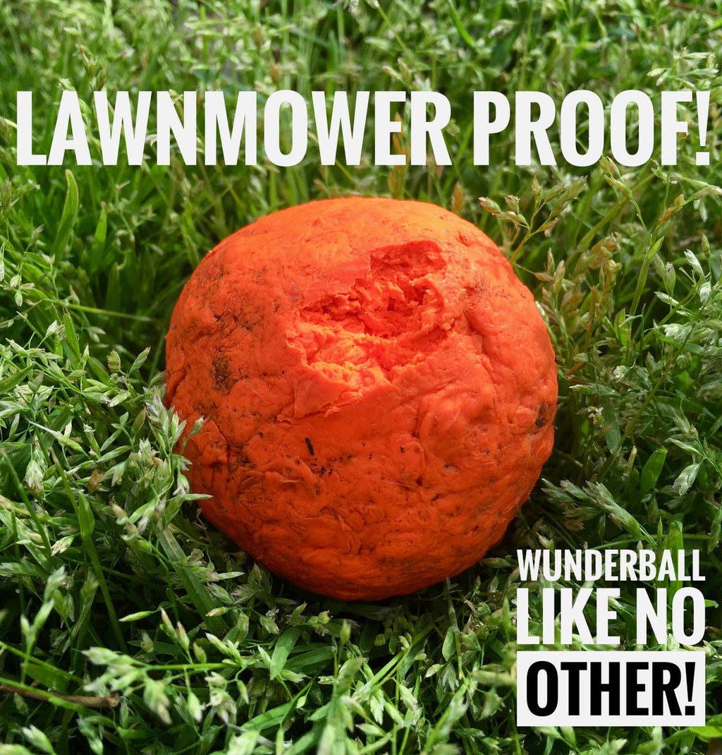 The WUNDERball Fetch Toy