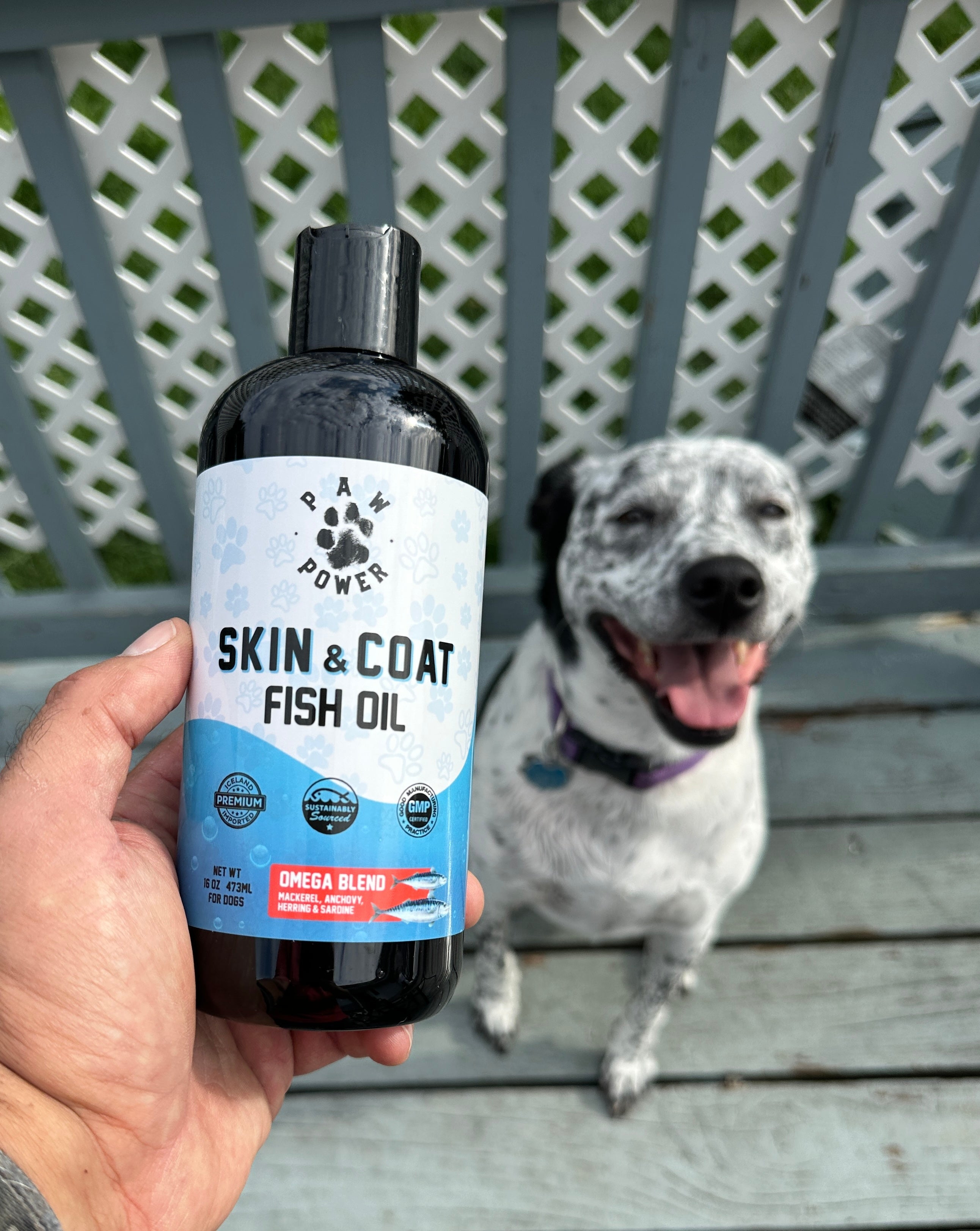 Dawg Health Skin & Coat Fish Oil
