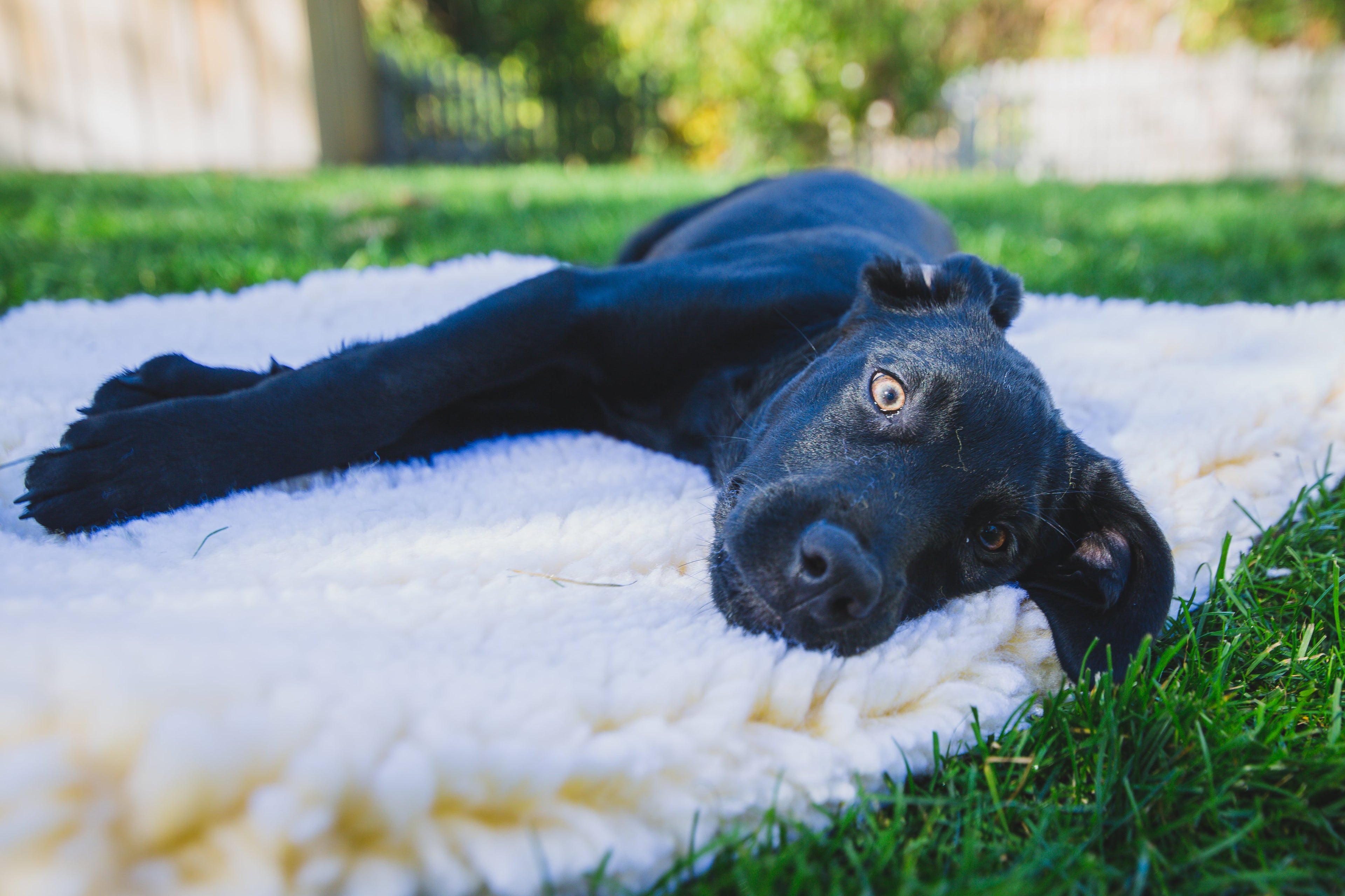HuggleFleece Cat & Dog Bed Mat