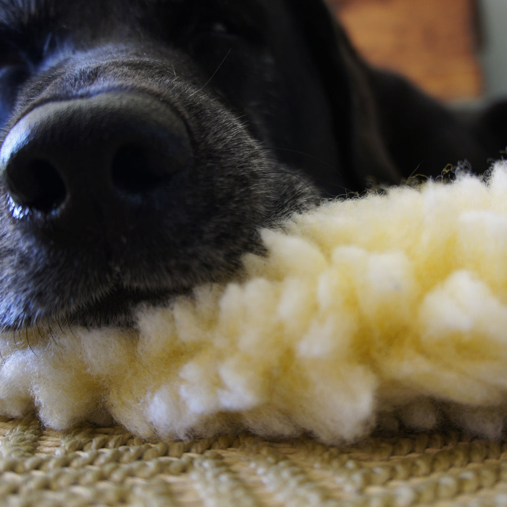 HuggleFleece Cat & Dog Bed Mat