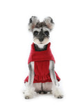 Urban Cloud Reversible Dog Vest - Red