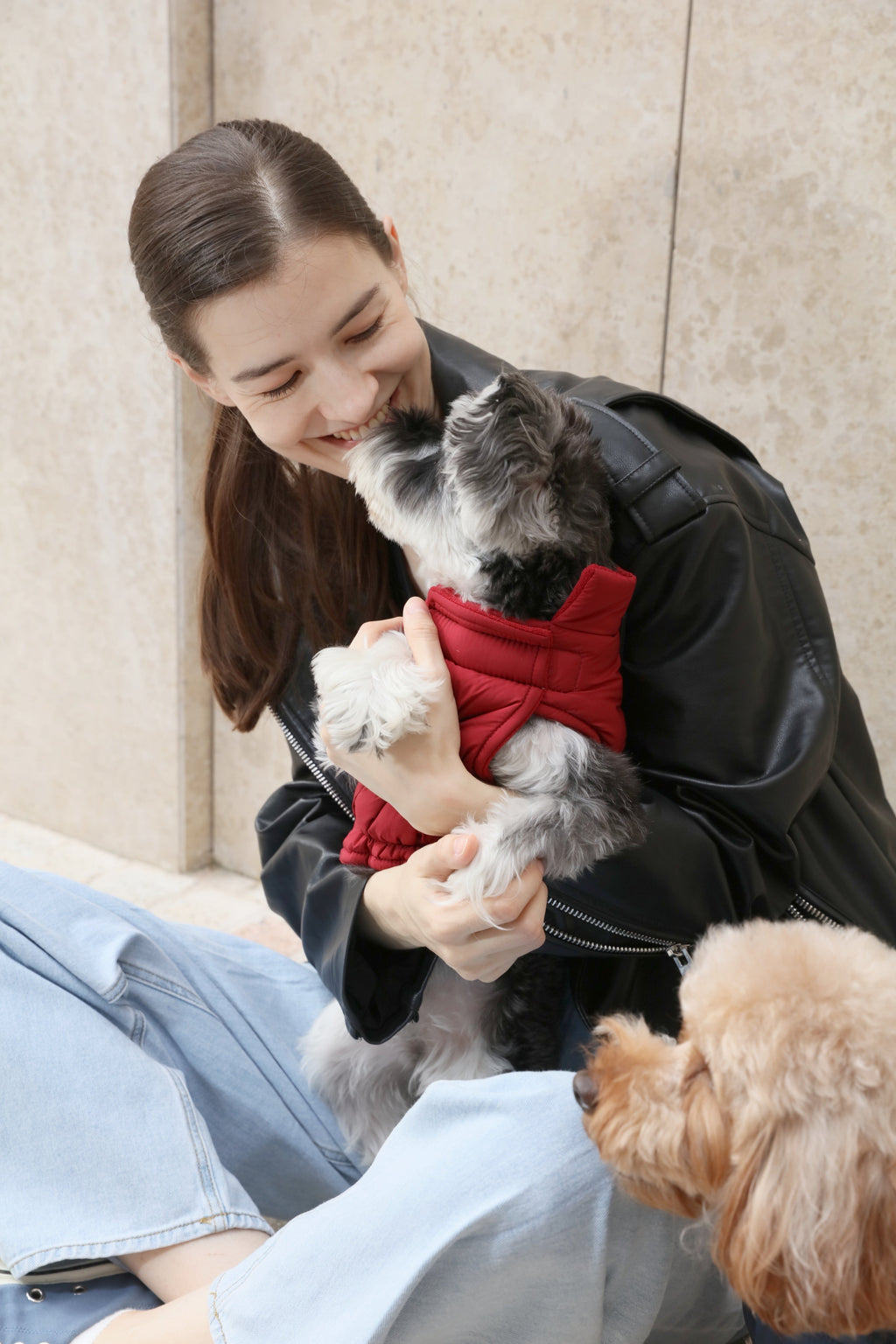 Urban Cloud Reversible Dog Vest - Red
