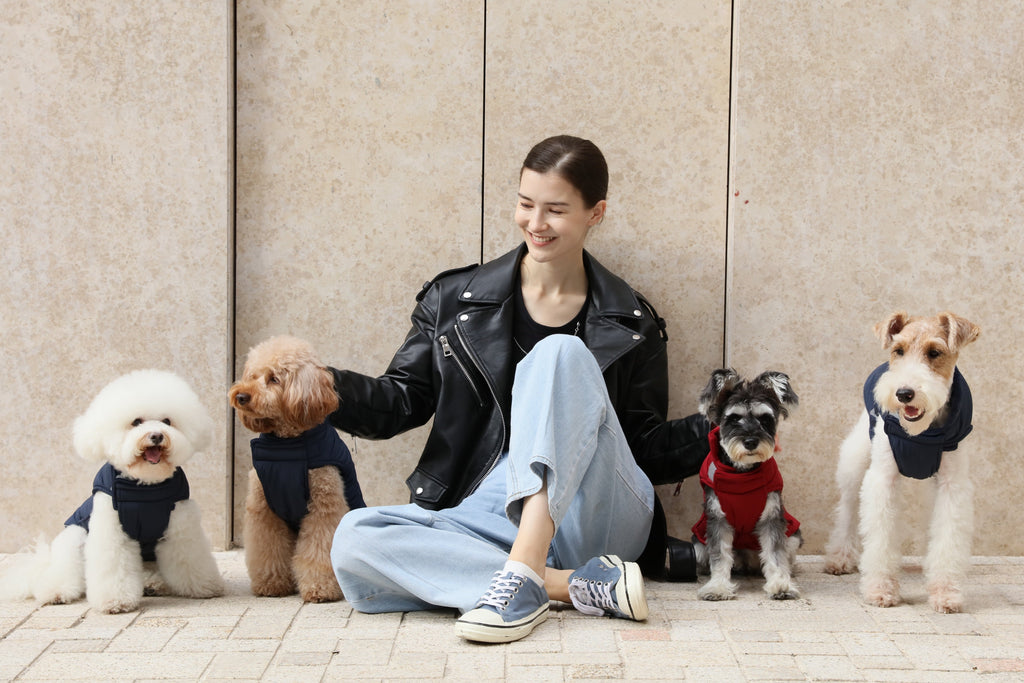 Urban Cloud Reversible Dog Vest - Blue