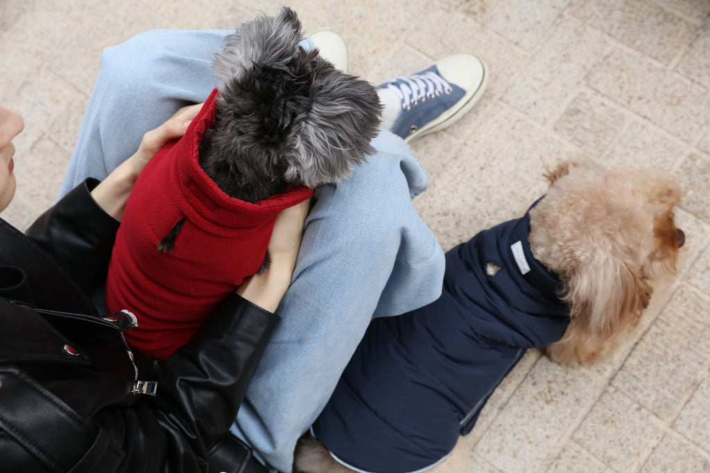 Urban Cloud Reversible Dog Vest - Red