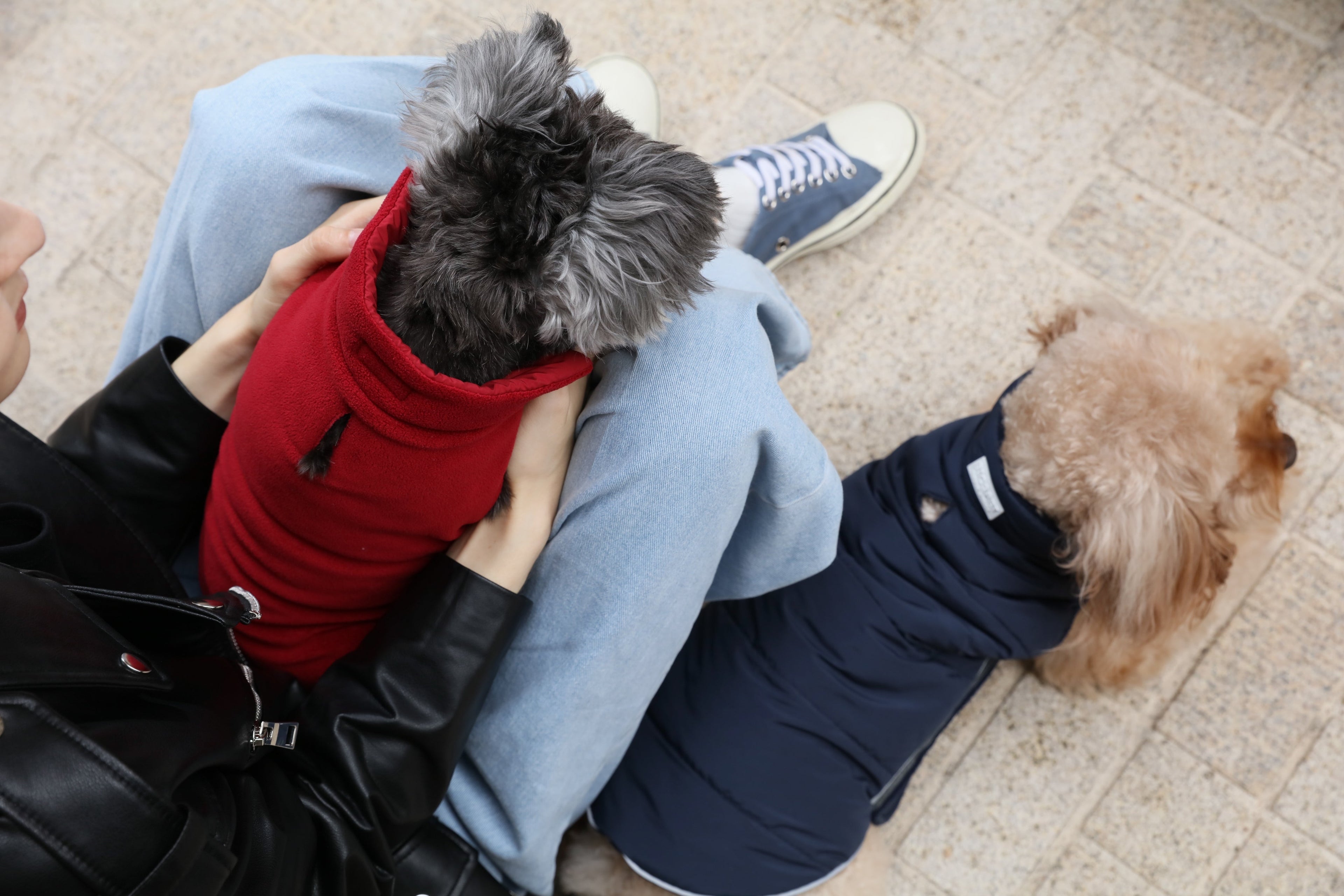 Urban Cloud Reversible Dog Vest - Red
