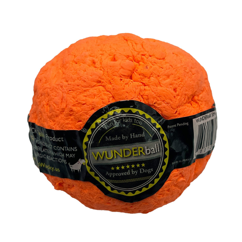 The WUNDERball Fetch Toy