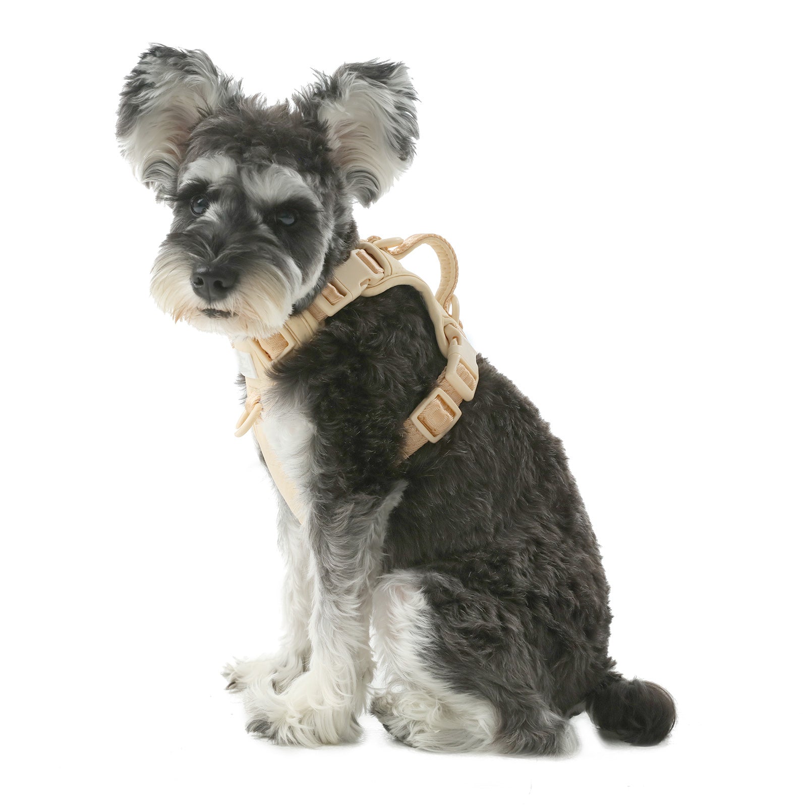 Urban Active Dog Harness - Apricot