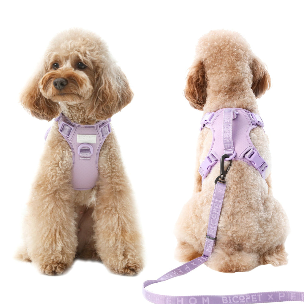 Urban Active Dog Harness - Mint Purple