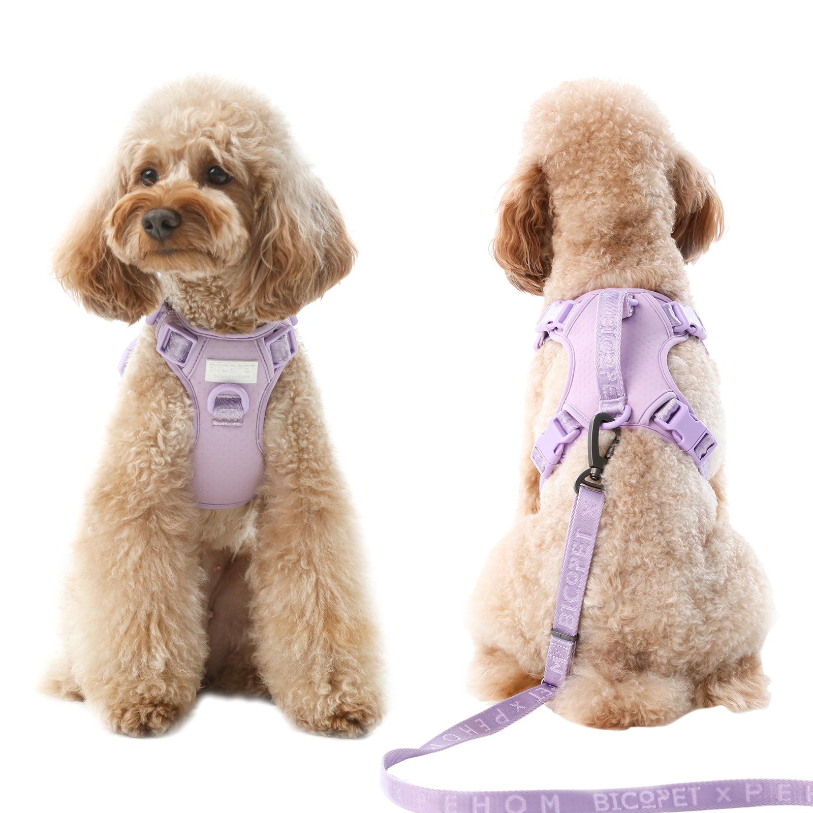 Urban Active Dog Harness - Mint Purple