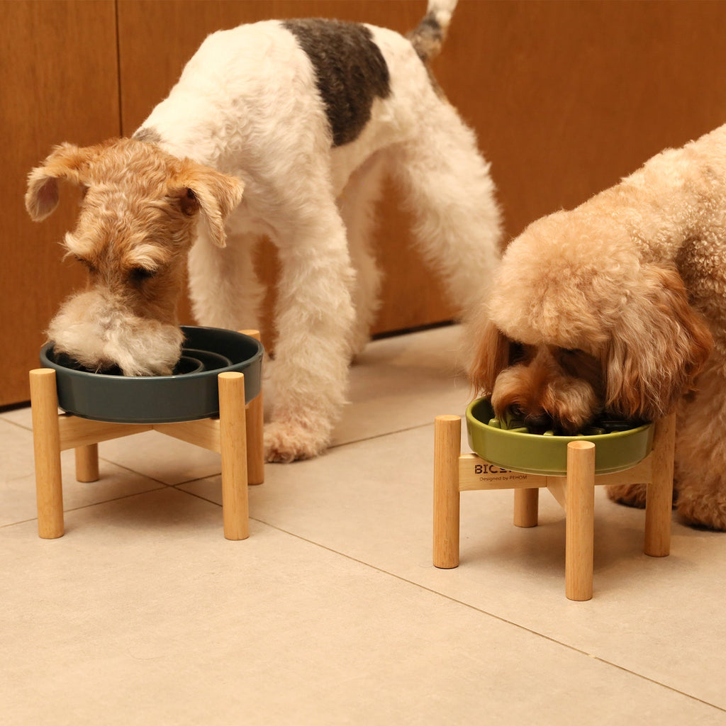 The Spark - Slow Feeder Dog Bowl