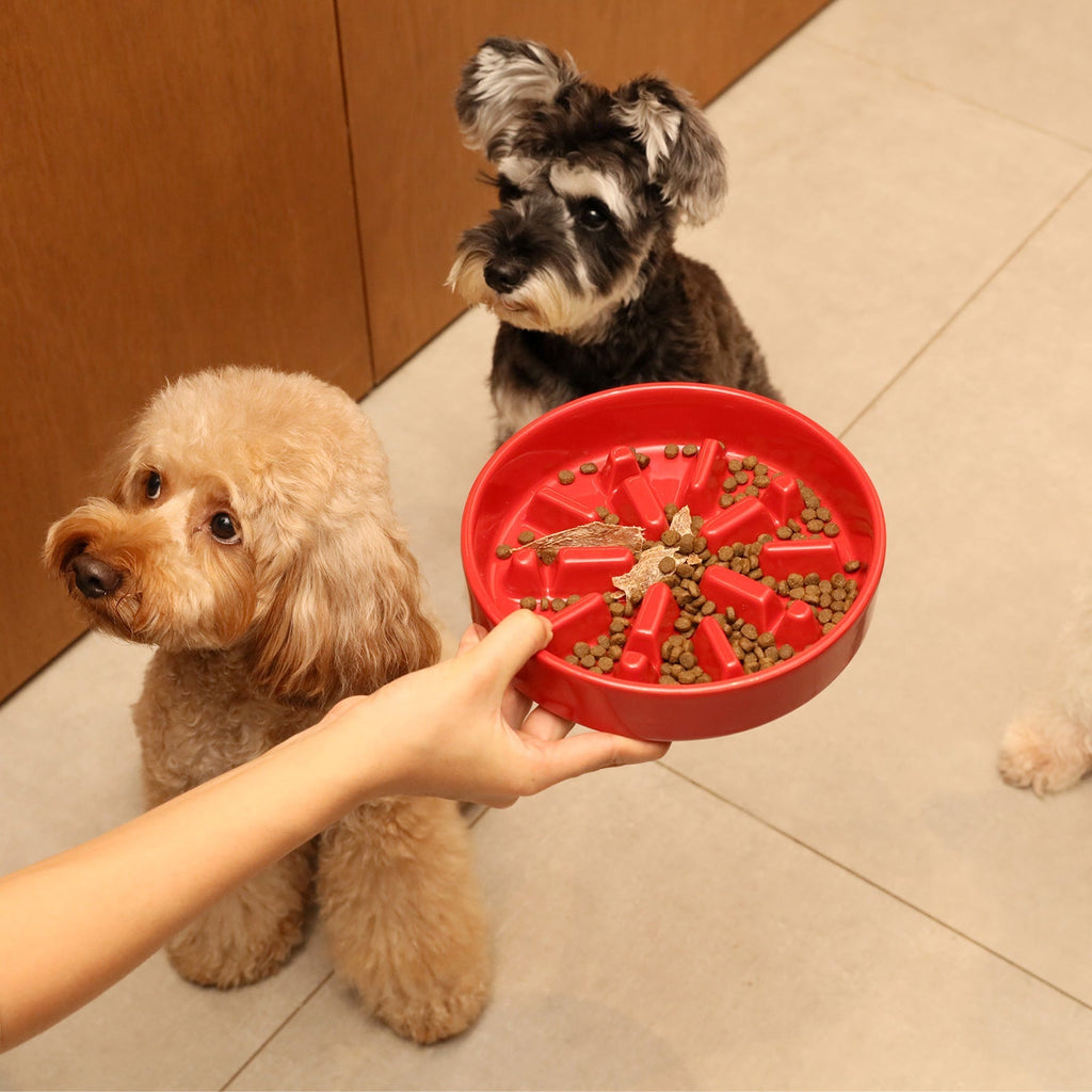 The Spark - Slow Feeder Dog Bowl