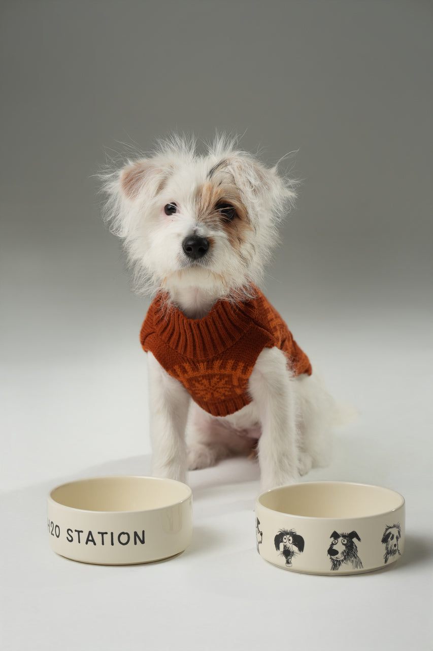 The Sketch Series - Dog Bowl Set