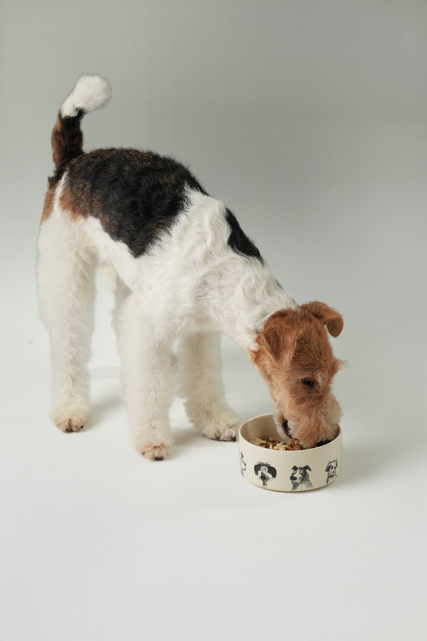 The Sketch Series - Dog Bowl Set