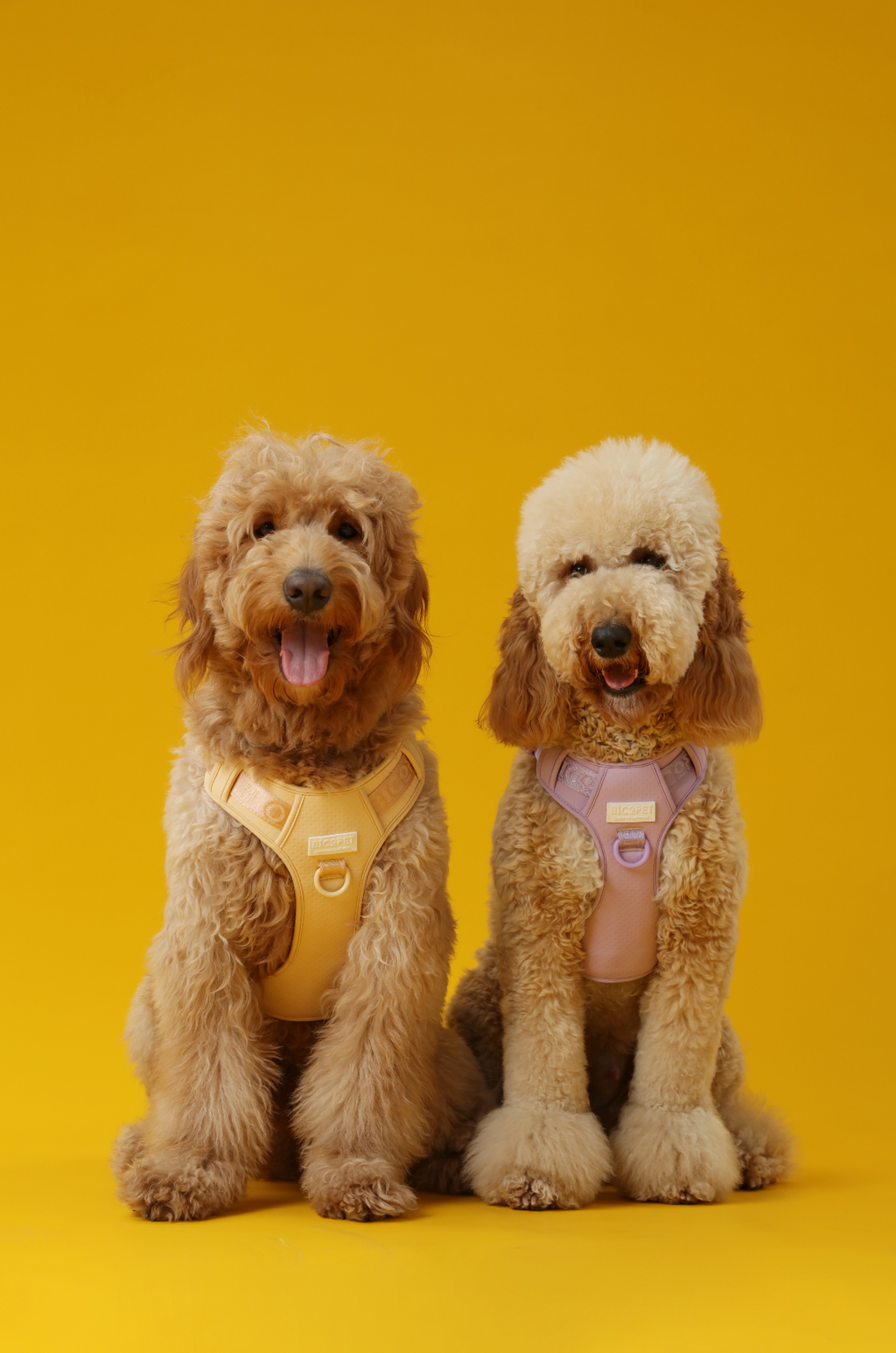 Urban Active Dog Harness - Apricot