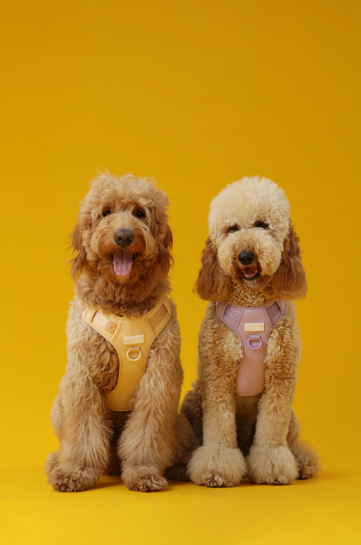 Urban Active Dog Harness - Apricot