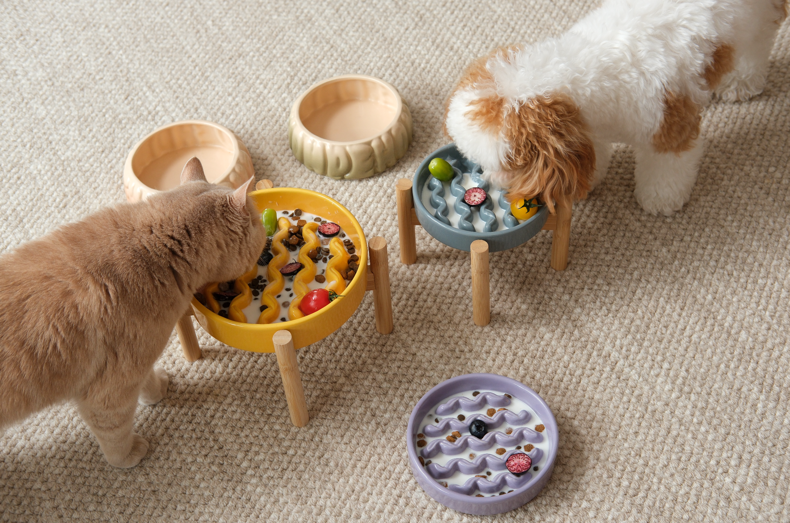 The Macaroni - Slow Feeder Dog Bowl