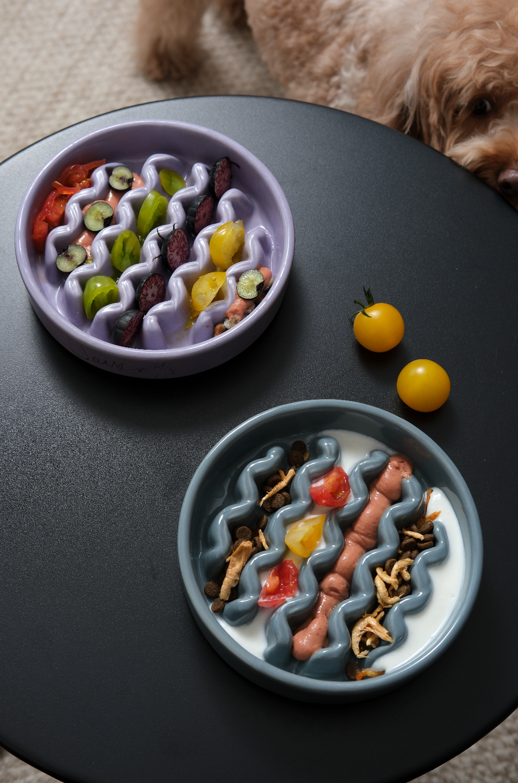 The Macaroni - Slow Feeder Dog Bowl