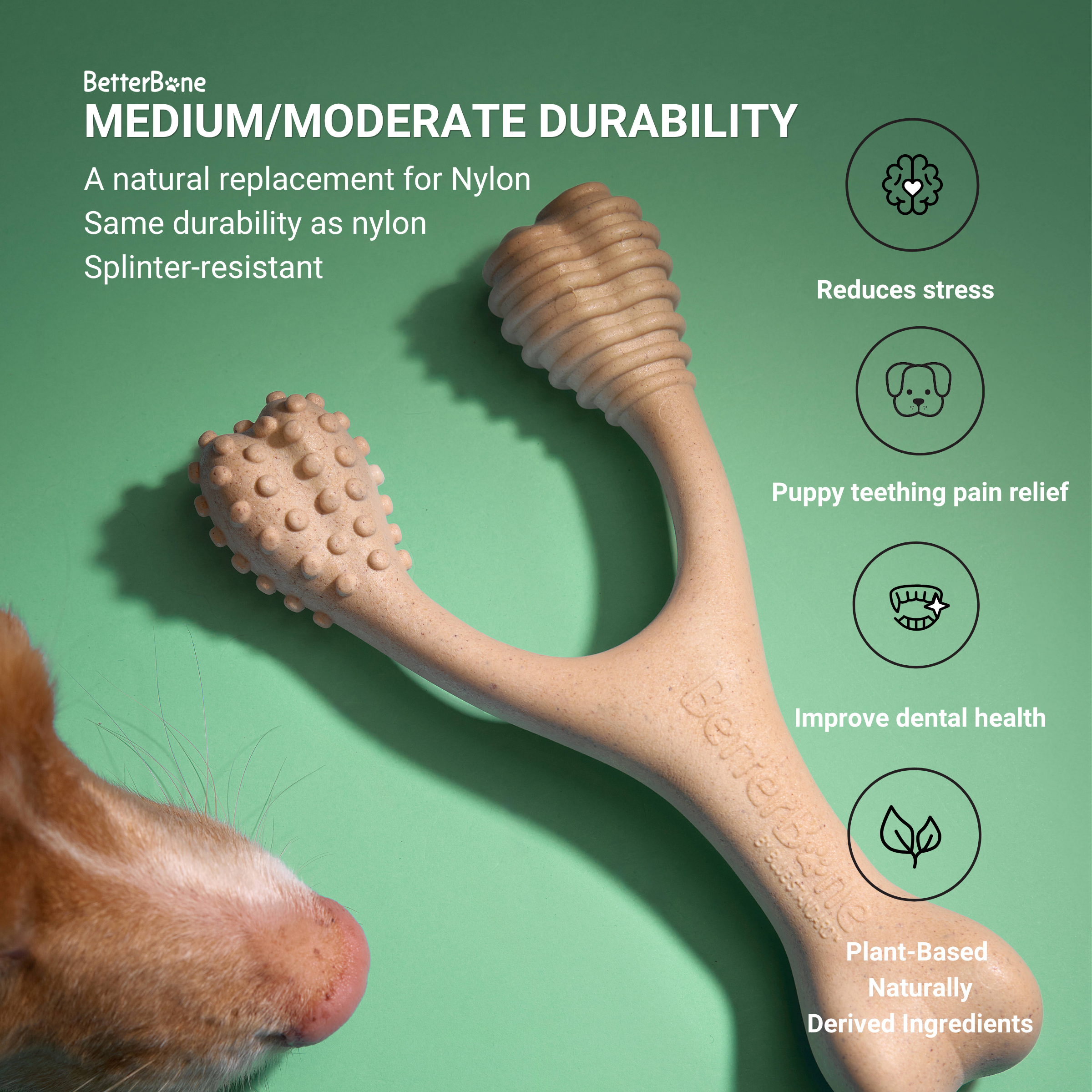 BetterBone Moderate Chew Toy