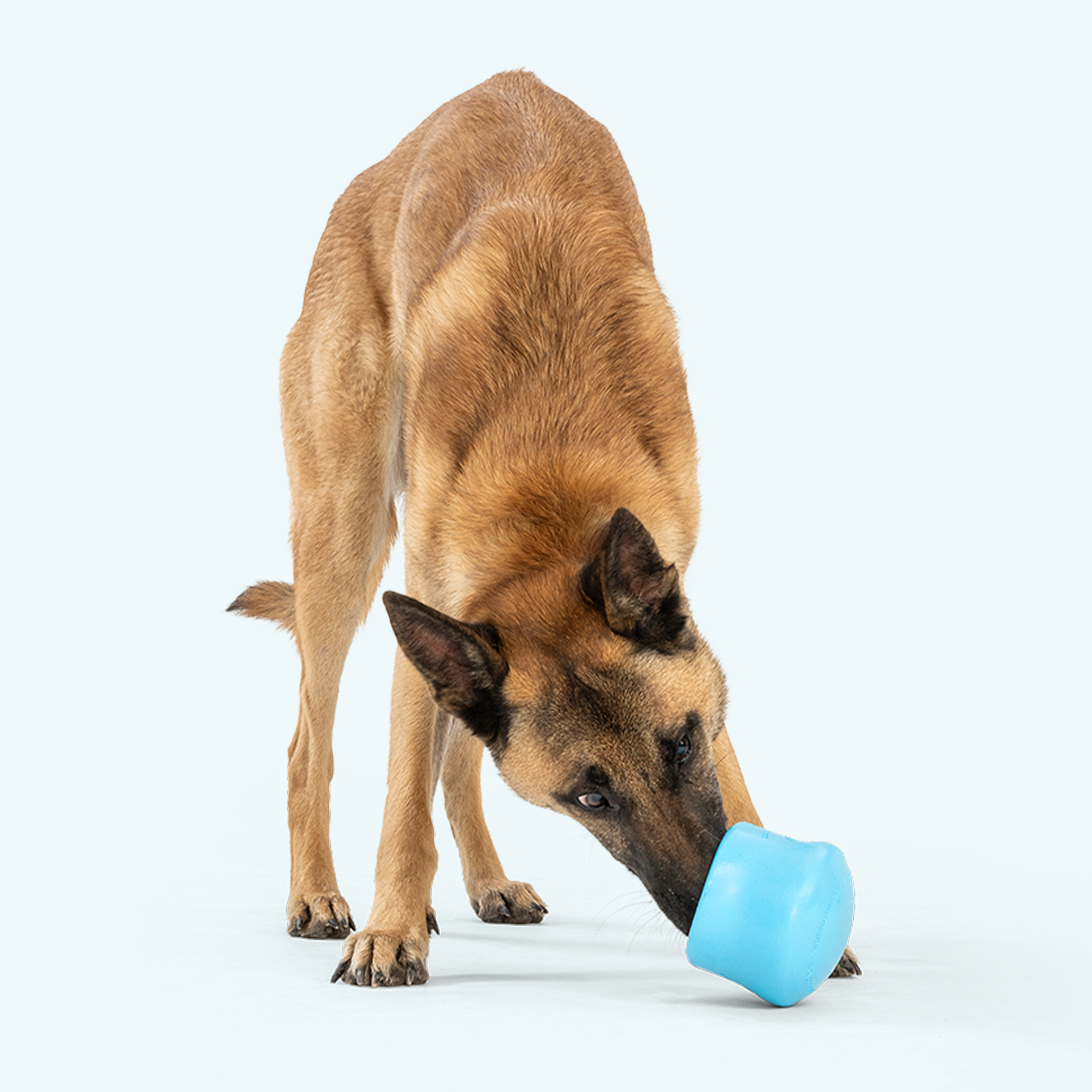 Toppl Treat Puzzle Toy